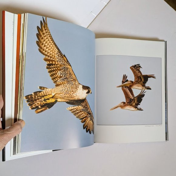 SPECIAL Signed 1st Ed Wild Delaware Kevin Fleming Coffee Table Book 4 Prints PKG - Picture 10 of 16